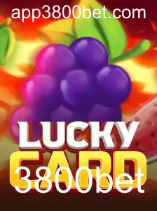 Guia Completo para Jogar LuckyCard no 3800bet